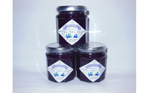 ジャム ブルーベリージャム セット 600g ( 200g × 3個 ) 潮風が育てた【フルーツ 果物 くだもの 食品 人気 おすすめ 送料無料】
