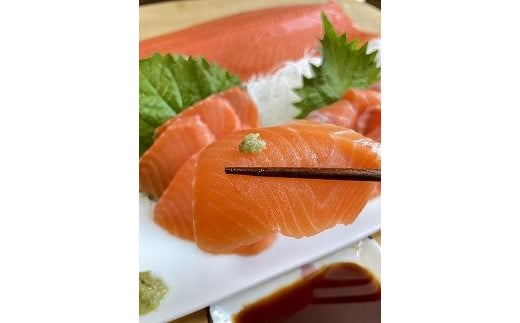 青森県産サーモン【2.7kg】サーモンフィレ1枚（約700g）・ネギトロ（500g）・輪切り（180g×3袋）・ハラス（1000g）【魚 お魚 さかな 食品 人気 おすすめ 送料無料】