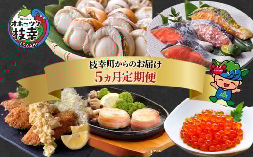 ~北海道枝幸町からのお届け おかずにどうぞ! 定期便5~【 ホタテ ステーキ いくら 醤油 めじか鮭 切身 ホッケ フライ 】