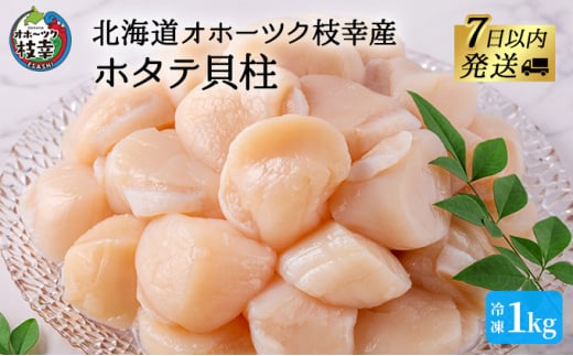 【枝幸ほたて】甘みたっぷり肉厚!大粒冷凍ほたて貝柱1kg 山武水産