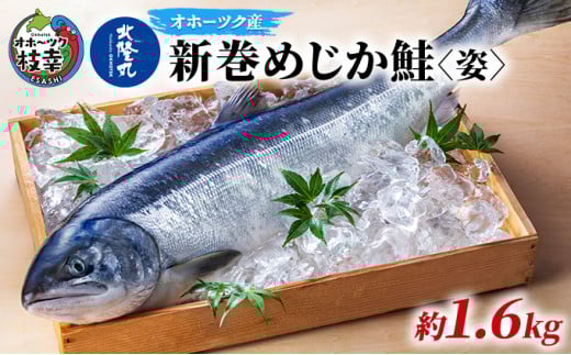 北隆丸 新巻めじか鮭〈姿〉約1.6kg オホーツク枝幸産