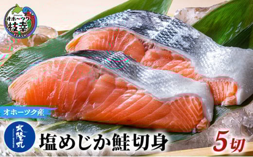 北隆丸 塩めじか鮭切身5切 オホーツク枝幸産【 鮭 サケ サーモン 切り身 干物 魚貝類 魚介類 漬け 漬魚 塩漬け 加工食品 北海道 オホーツク 枝幸 】