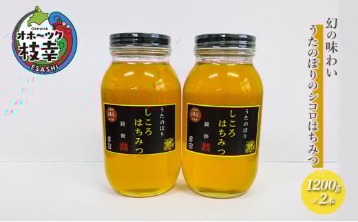 幻の味わい うたのぼりのシコロはちみつ1200g×2本【オホーツク枝幸】