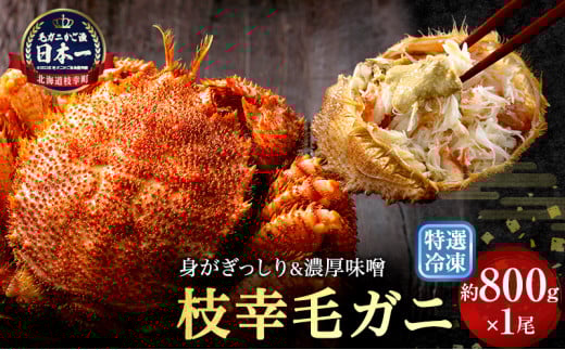【漁獲量日本一】至福の逸品!特選冷凍「枝幸毛がに」約800g×1尾 毛蟹 毛ガニ オホーツク 北海道