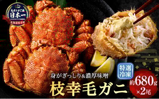【漁獲量日本一】至福の逸品!特選冷凍「枝幸毛がに」約680g×2尾 毛蟹 毛ガニ オホーツク 北海道