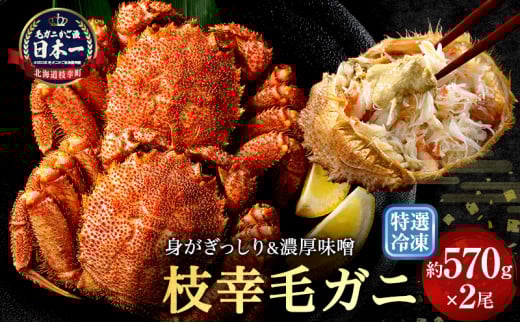 【漁獲量日本一】至福の逸品!特選冷凍「枝幸毛がに」約570g×2尾 毛蟹 毛ガニ オホーツク 北海道