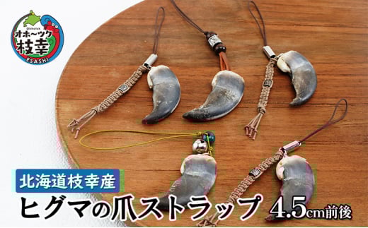 北海道枝幸産 ヒグマの爪ストラップ 4.5cm前後 くま 熊 ヒグマ 羆 アクセ スマホ