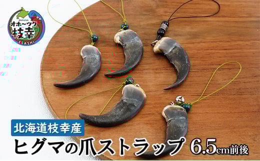 北海道枝幸産 ヒグマの爪ストラップ 6.5cm前後 くま 熊 ヒグマ 羆 アクセ スマホ