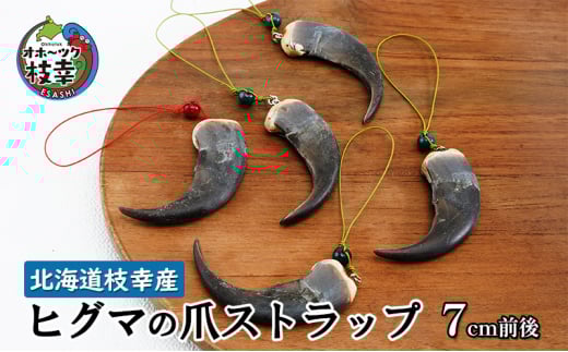 ふるさと納税 小物 北海道 枝幸町 北海道枝幸産 ヒグマの爪ストラップ 4cm前後 くま 熊 ヒグマ 羆 アクセ スマホ 楽天市場】【ふるさと納税】北海道枝幸産 ヒグマの爪ストラップ