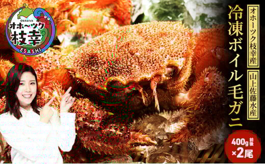 冷凍ボイル毛ガニ 400g前後×2尾［オホーツク枝幸産］山上佐藤水産 カニ かに 毛ガニ 北海道 海鮮