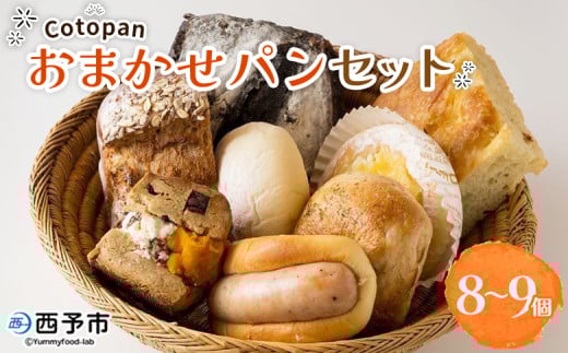 <Cotopanおまかせパンセット(8~9個)> 天然酵母 国産 ハード系 スイーツ モーニング 低温長時間発酵 パン お楽しみ 定番商品 おすすめ商品 自家製酵母 詰め合わせ 詰合せ 詰め合せ Cotopan 愛媛県 西予市【冷凍】
