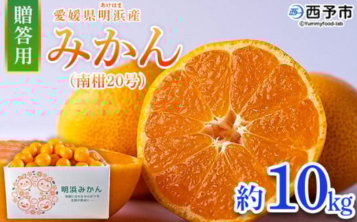 <みかん(南柑20号)贈答用 約10kg> 果物 くだもの フルーツ ミカン 柑橘 なんかん20ごう ナンカン20ゴウ 温州みかん うんしゅうみかん 贈答 ギフト プレゼント 特産品 株式会社笑丸 愛媛県 西予市【常温】