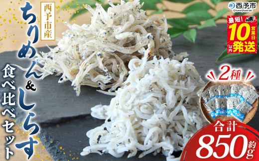 ＜ちりめん＆しらす干し 食べ比べセット＞ 西予市産 ちりめん しらす干し 食べ比べ 健康 カルシウム 詰め合わせ チリメン シラス 魚介 海産物 海鮮 家庭用 贈答用 小分け 国産 特産品 産地直送 濱田水産 愛媛県 西予市【冷凍】