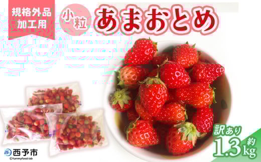 [訳あり いちご あまおとめ 約1.3kg 小粒 加工用 冷蔵 規格外品] 国産 サイズ 小粒 詰め合わせ アマオトメ 訳あり 訳アリ フルーツ 果物 苺 いちご イチゴ シャーベット スムージー りの果樹園 愛媛県 西予市[冷蔵]
