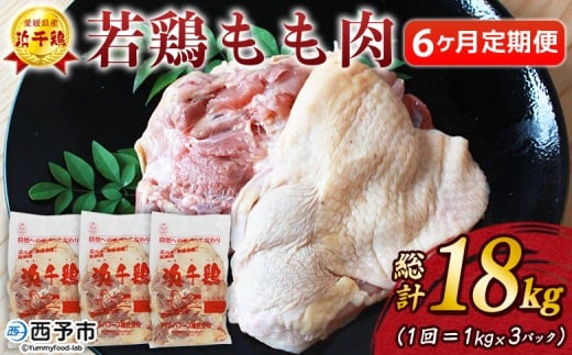 <愛媛県産 銘柄鶏 浜千鶏(はまちどり)若鶏もも肉 3kg(1kg×3)6ヶ月定期便> 国産 鶏肉 鳥肉 とり チキン モモ肉 はまちどり ブロック 精肉 にく 料理 アレンジ 夕飯 夕食 お弁当 昼食 唐揚げから揚げ 焼き鳥 マルハフーズ株式会社 愛媛県 西予市【冷凍】