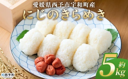 <にじのきらめき 約5kg> 5キロ ニジノキラメキ 米 お米 コメ こめ 白米 精米 ご飯 ライス 大粒 穀物 西予応援米 特産品 愛媛県産 西予市産 宇和町産 前田農園 愛媛県 西予市 【常温】