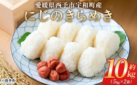<にじのきらめき 約10kg> 10キロ ニジノキラメキ 米 お米 コメ こめ 白米 精米 ご飯 ライス 大粒 穀物 西予応援米 特産品 愛媛県産 西予市産 宇和町産 前田農園 愛媛県 西予市 【常温】