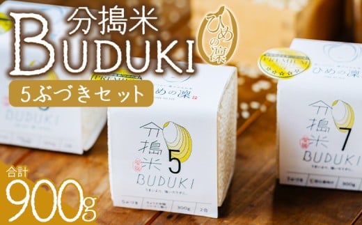 <分搗米「BUDUKI」ひめの凜 「5ぶづき」2合入り×3個(900g)> ひめのりん 分づき米 ぶづき米 ぶずき米 お米 コメ こめ 選べる 5分づき 玄米 精米 ご飯 もとき農園 愛媛県 西予市【常温】『令和7年11月中旬より順次発送予定』