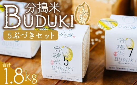 <分搗米「BUDUKI」ひめの凜 「5ぶづき」2合入り×6個(1.8kg)> ひめのりん 分づき米 ぶづき米 ぶずき米 お米 コメ こめ 選べる 5分づき 玄米 精米 ご飯 もとき農園 愛媛県 西予市【常温】『令和7年11月中旬より順次発送予定』