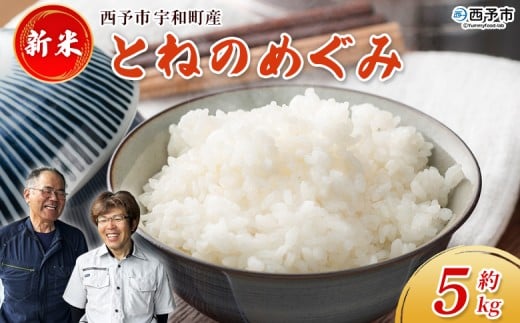 新米<令和7年産 とねのめぐみ 約5kg 西予市宇和町産> 5キロ 白米 精米 お米 コメ こめ 宇和米 新米 うわまい ご飯 ごはん ライス 送料無料 産地直送 加茂ファーム 愛媛県 西予市【常温】『2025年10月末頃より順次発送予定』