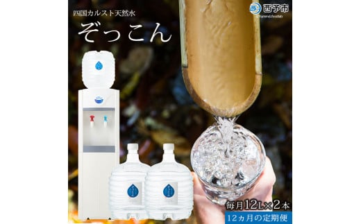 「四国カルスト天然水ぞっこん」ガロンボトル12L×24本、レンタルウォーターサーバーセット（毎月2本1年間の定期便）