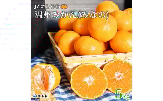 JAにしうわ 温州みかん「みなの」5kg