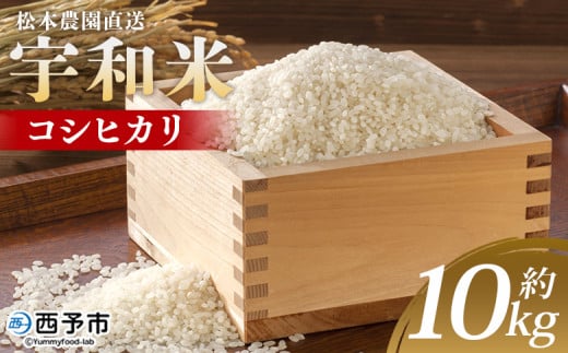 ＜令和7年産 松本農園直送 宇和米（コシヒカリ）約10kg＞ こしひかり 米 コメ こめ 白米 精米 うわまい ウワマイ ご飯 新鮮 10キロ お弁当 朝 昼 夜 国産 特産品 愛媛県 西予市【常温】『2025年9月下旬～12月下旬迄に順次出荷予定』