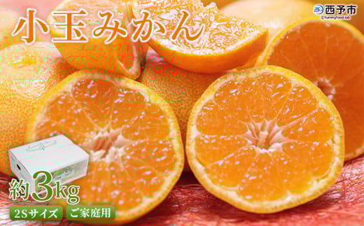 [愛媛県西予市産 小玉みかん ご家庭用 約3kg] 2Sサイズ 訳あり わけあり 果物 フルーツ 温州ミカン 蜜柑 甘い あまい おいしい 美味しい オレンジ 柑橘 特産品 愛媛県 西予市[常温]