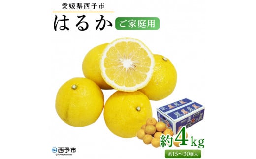 [愛媛県西予市産 はるか ご家庭用 約4kg]約15〜30個入 訳あり ご自宅用 果物 フルーツ ハルカ みかん ミカン オレンジ 柑橘類 旬 期間限定 食べて応援 特産品 愛媛県 西予市[常温]『2026年2月中旬〜4月下旬迄に順次出荷予定』