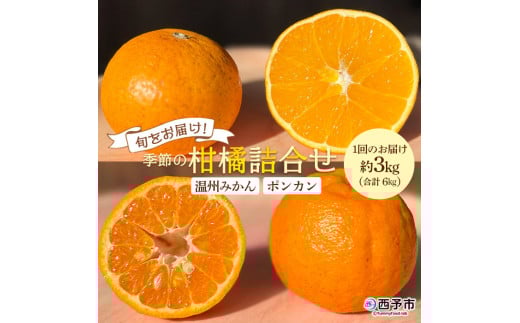 <旬をお届け!季節の柑橘 2回定期便(温州みかん約3kg・ポンカン約3kg)>ミカン ぽんかん 蜜柑 果物 果実 フルーツ お楽しみ 2種類 食べ比べ 手軽 特産品 国産 愛媛県 西予市【常温】