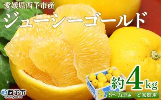 <ジューシーゴールド(河内晩柑) ご家庭用 約4kg> 訳あり 果物 フルーツ かわちばんかん じゅーしーごーるど みかん 蜜柑 オレンジ 柑橘 食べて応援 特産品 宇都宮物産 愛媛県 西予市 【常温】『2026年4月中旬~6月中旬迄に順次出荷予定』