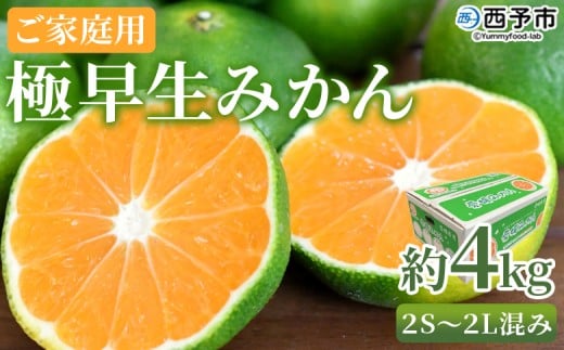 [極早生みかん ご家庭用 約4kg] ご家庭用 果物 フルーツ みかん ミカン 蜜柑 オレンジ 柑橘 食べて応援 特産品 宇都宮物産 愛媛県 西予市[常温]