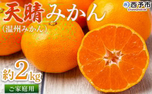 先行予約<愛媛県明浜産 天晴みかん(温州みかん)約2kg> 家庭用 訳あり ワケアリ 自宅用 果物 くだもの フルーツ ミカン 柑橘 選べる 食べて応援 特産品 産地直送 愛媛県 西予市【常温】