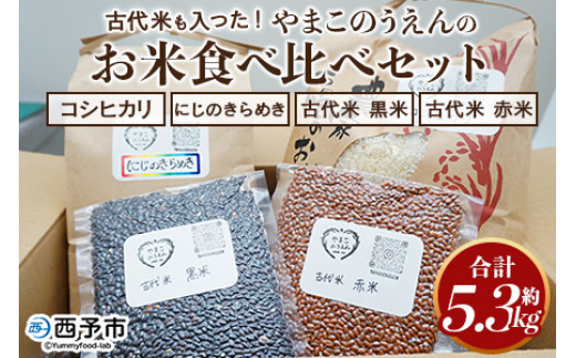 <古代米も入った!やまこのうえんのお米 4種類食べ比べセット 合計5.3kg> お米 コメ ご飯 ライス 穀物 こしひかり コシヒカリ にじのきらめき 古代米 黒米 赤米 食べ比べ 特産品 愛媛県 西予市【常温】