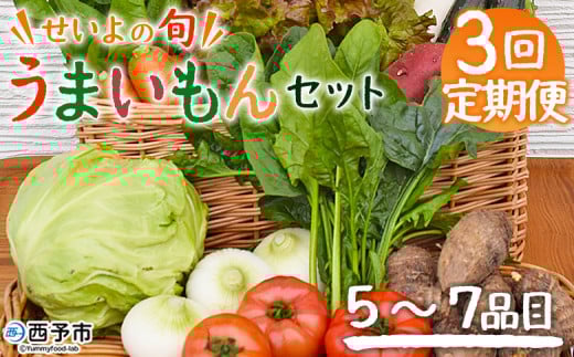 ＜せいよのうまいもんセット 3回定期便＞ 西予市産 愛媛県産 国産 旬 季節の野菜 やさい おまかせ 詰め合わせ 5～7品目 お楽しみ 特産品 百姓百品株式会社 愛媛県 西予市 【冷蔵】『1か月以内に第1回目を順次出荷予定』