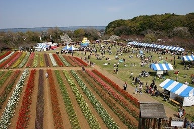 （１）地域活性化に関する事業