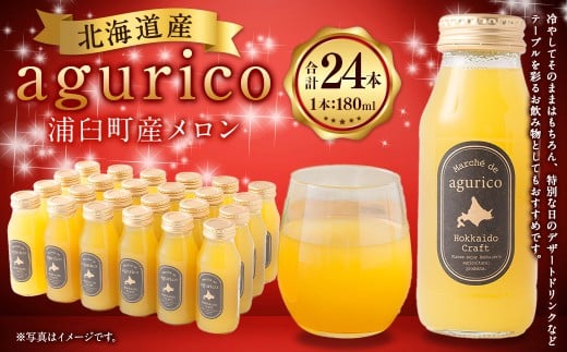 agurico 浦臼町産 メロン 180ml×24本 計4.32L メロンジュース ジュース キングメルティー フルーツ 果物 北海道 浦臼町
