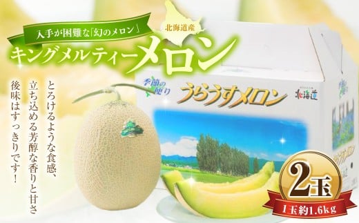 キングメルティーメロン 2玉 (1玉 約1.6kg) 【2026年7月上旬~7月下旬迄順次発送予定】 果物 フルーツ メロン めろん 青肉 希少フルーツ 希少品 北海道 浦臼町