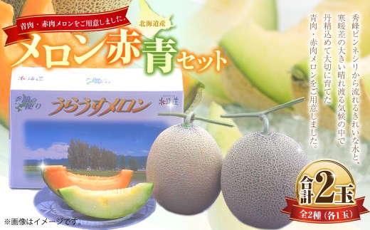 メロン 赤・青セット (1玉 約1.6kg) 【2026年7月上旬~7月下旬迄順次発送予定】 果物 フルーツ めろん 2玉 詰め合わせ セット 赤肉 青肉 北海道 浦臼町