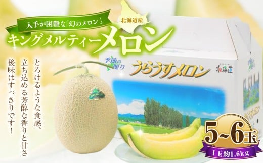 キングメルティーメロン 5~6玉(1玉 約1.6kg) 【2026年7月上旬~7月下旬迄順次発送予定】 果物 フルーツ メロン めろん 青肉 希少フルーツ 希少品 北海道 浦臼町