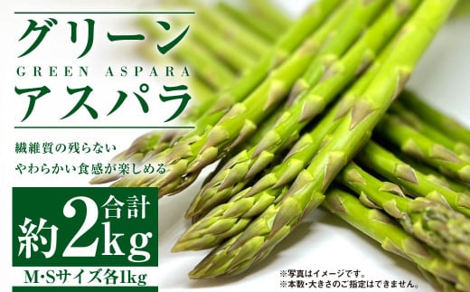 グリーンアスパラ M・Sセット  合計約2kg 【2026年5月下旬~6月下旬発送】 野菜 アスパラガス アスパラ 旬 M S 北海道 浦臼町