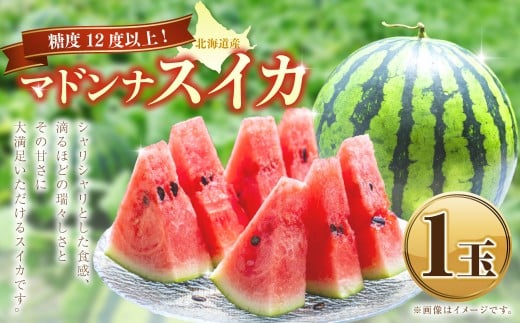 マドンナスイカ  1玉 (2~3Lサイズ) 【2026年7月上旬~2026年7月下旬発送予定】 果物 フルーツ すいか スイカ 西瓜 季節のフルーツ 旬のフルーツ 旬 甘い 北海道 浦臼町