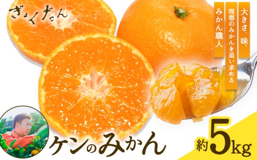 ぎょくだんケンのみかん 約5kg ぷらっとぎょくとう 《11月下旬-12月中旬頃出荷》熊本県 玉東町 フルーツ 果物 秋 旬 みかん ミカン オレンジ 柑橘 熊本県産
