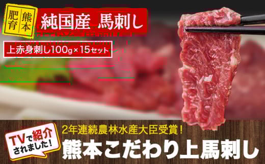 上赤身馬刺し100g×15セット(10ml×15袋)《90日以内に出荷予定(土日祝除く)》 熊本県 玉名郡 玉東町 馬刺し 国産 赤身 送料無料 肉 タレ付き 1500g 牛肉よりヘルシー