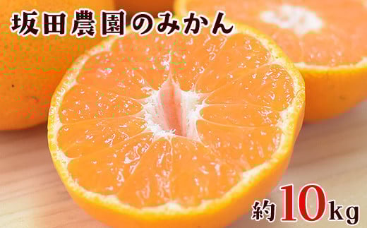 先行予約 『坂田農園』のみかん 大容量 約10kg(2S-Lサイズ)《10月上旬-1月末頃出荷》 【日付指定不可】 熊本県玉東町産限定 予約受付中 フルーツ 秋 旬 ジャム ゼリー 玉東町70年のベテラン!濃厚な食味とジューシーな果汁 熊本県玉東町