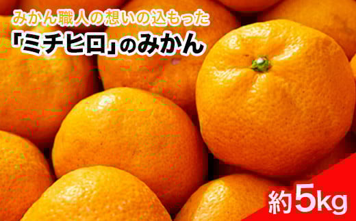 ぎょくだん『ミチヒロ』のみかん 約5kg(サイズおまかせ) 予約受付《10月下旬-1月下旬出荷》  フルーツ 秋 旬 熊本県玉名郡玉東町『熊本・玉東、玉東町段々畑男子団。』みかん ぷらっとぎょくとう