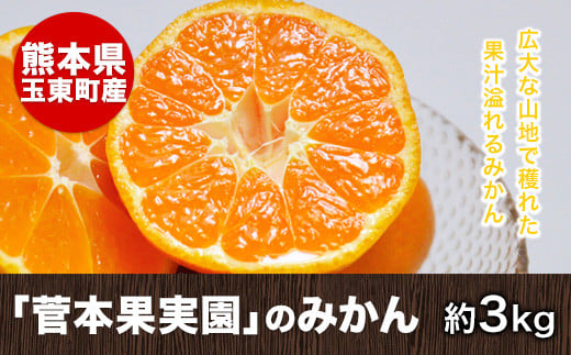 『菅本果実園』のみかん★約3kg(2S-Lサイズ)《11月中旬-12月末頃出荷》 フルーツ 秋 旬★熊本県玉名郡玉東町 全国にファン多数!エコファーマー菅本さんのみかん『菅本果実園』