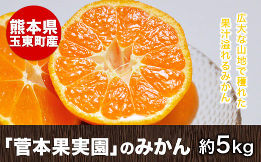 『菅本果実園』のみかん★約5kg(2S-Lサイズ)《11月中旬-12月末頃出荷》 フルーツ 秋 旬★熊本県玉名郡玉東町 全国にファン多数!エコファーマー菅本さんのみかん♪『菅本果実園』