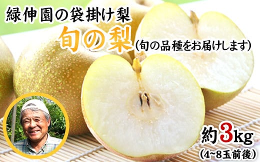 『緑伸園』の旬の梨 約3kg[8月中旬-9月下旬頃出荷] 旬の品種をお届け 予約受付中 4-8玉前後入り 梨 旬 豊水 あきづき 新高