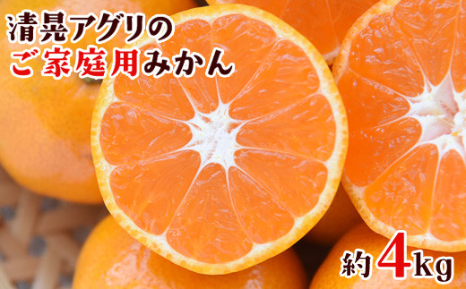 ご家庭用『清晃アグリ』のご家庭用みかん★約4kg(2S-2Lサイズ)《11月中旬-12月末頃出荷》予約受付中 フルーツ 秋 旬★熊本県玉名郡玉東町 健康な土で育つジューシーおいしいみかん!ちょこっと訳あり